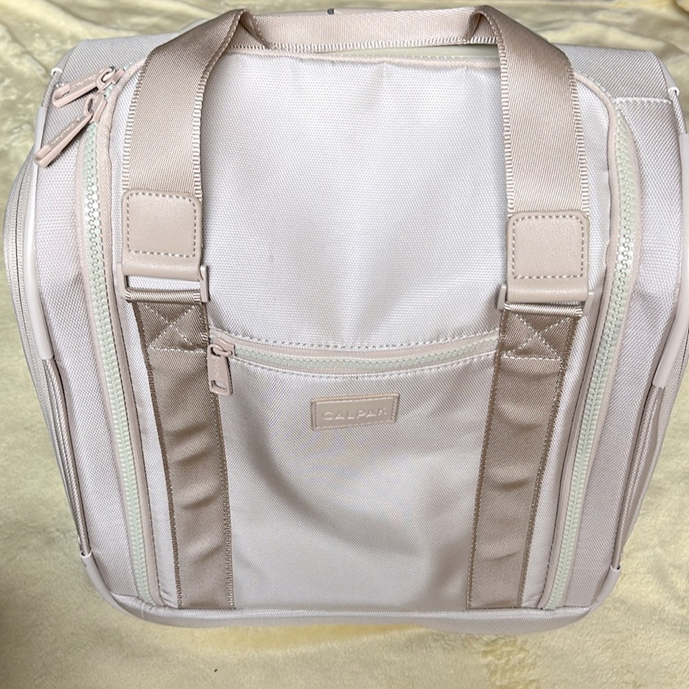 CALPAK travel roller suitcase